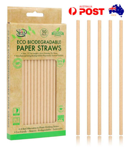 Brown Paper Bamboo Drinking Straws - Eco Biodegradable - Picnic/Party - 50 Pce